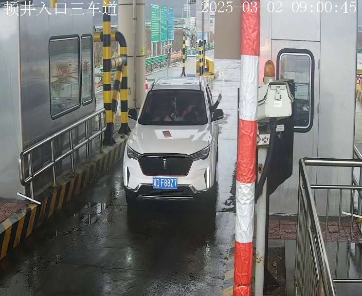 女司机.jpg 女司机.jpg